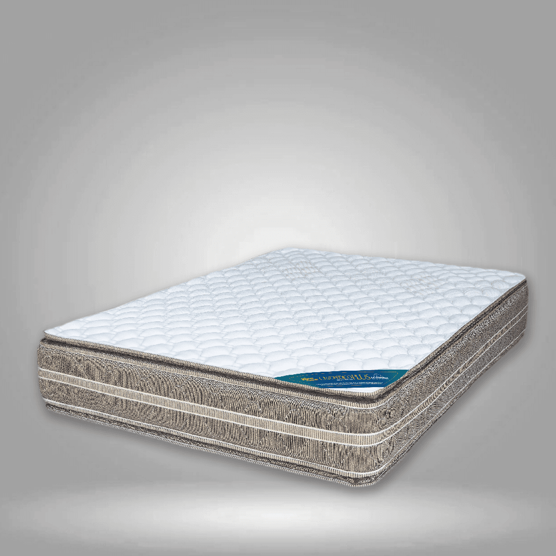 Vista de frente con fondo blanco.