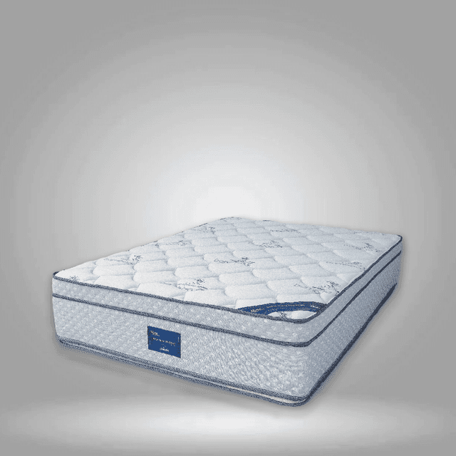 Vista de frente con fondo blanco.